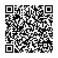 QR Code für Schumann Plus I: Reflexionen